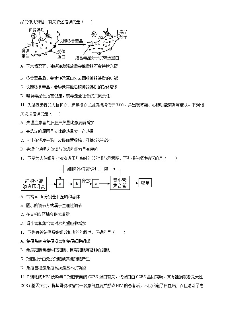 2023宣城高二上学期期末考试生物含解析03