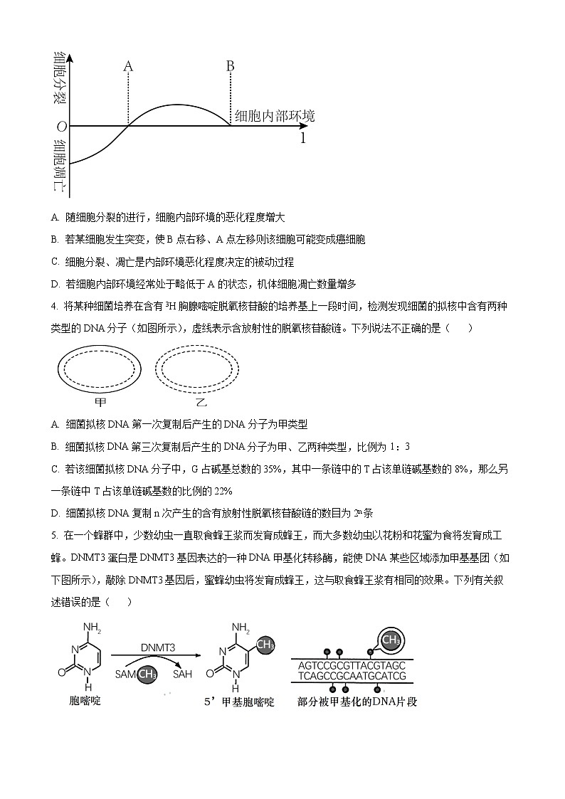 2023重庆市巴蜀中学高二下学期第一次月考生物试题含答案第2页