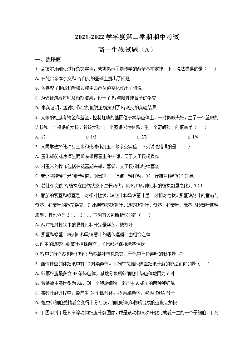 2022菏泽高一下学期期中考试生物试题含解析01