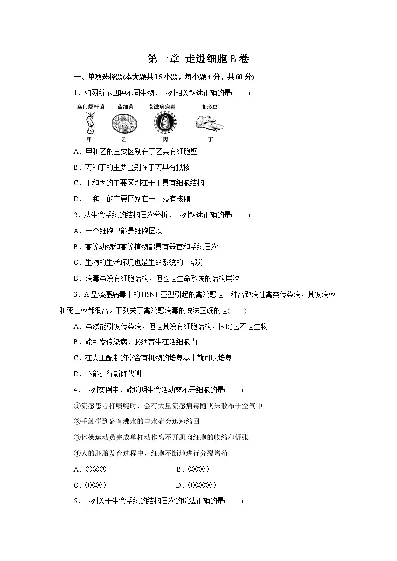 高中生物第一册 第01章 走进细胞（B卷）（无答案）第1页