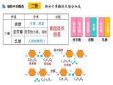 高中生物第一册 2 3细胞中的糖和脂质 课件