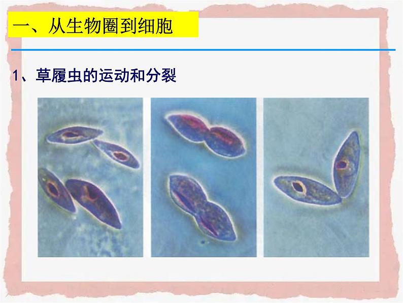 第一章《走近细胞》包含两节课件第2页