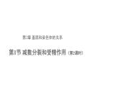 高中生物第二册 (教学课件)第1节 减数分裂和受精作用 第2课时 示范课件29