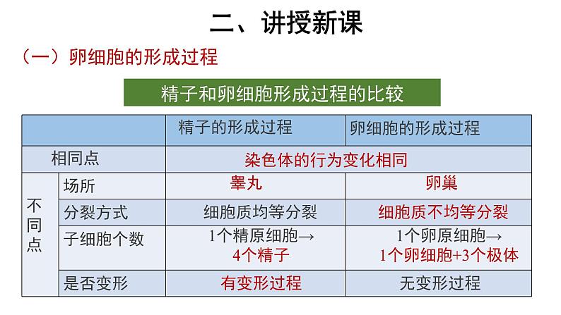 高中生物第二册 (教学课件)第1节 减数分裂和受精作用 第2课时 示范课件29第8页