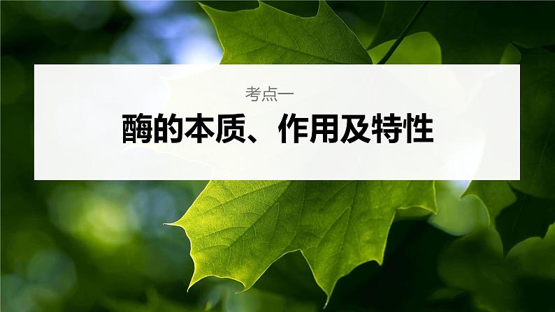 新人教新高考生物一轮复习课件  第3单元 第1课时　降低化学反应活化能的酶06