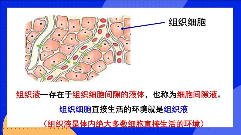 人教版高中生物选修一 1.1 细胞生活的环境  课件+教案+导学案07