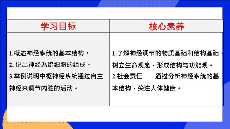 人教版高中生物选修一 2.1 神经调节的结构基础   课件+教案+导学案02