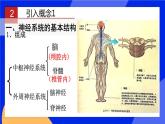 人教版高中生物选修一 2.1 神经调节的结构基础   课件+教案+导学案