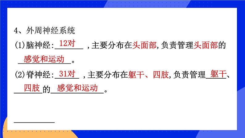 人教版高中生物选修一 2.1 神经调节的结构基础   课件+教案+导学案07