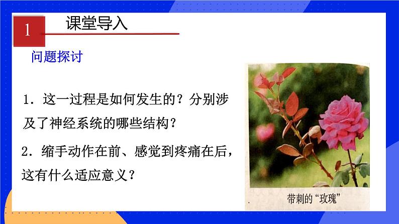 人教版高中生物选修一 2.2 神经调节的基本方式   课件+教案+导学案03