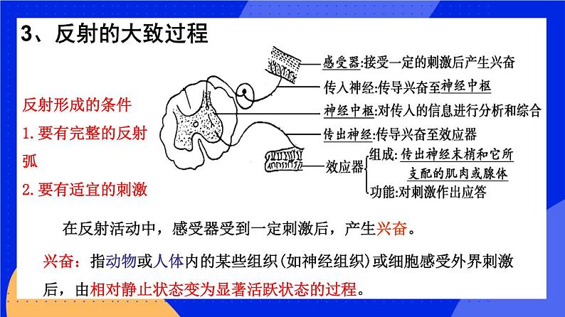 人教版高中生物选修一 2.2 神经调节的基本方式   课件+教案+导学案07