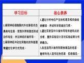 人教版高中生物选修一 2.3 神经冲动的产生和传导   课件+教案+导学案