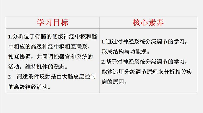 人教版高中生物选修一 2.4 神经系统的分级调节    课件+教案+导学案02