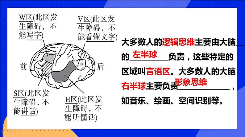 人教版高中生物选修一 2.5 人脑的高级功能   课件+教案+导学案07