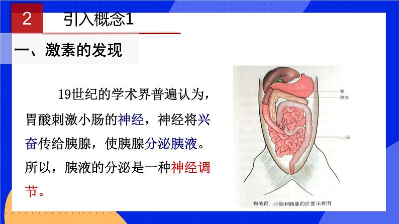 人教版高中生物选修一 3.1 激素与内分泌系统   课件+教案+导学案06