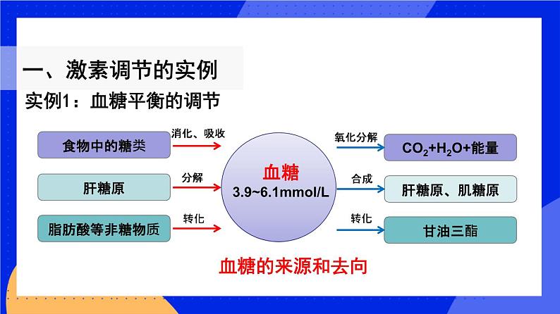 人教版高中生物选修一 3.2 激素调节的过程  课件+教案+导学案05