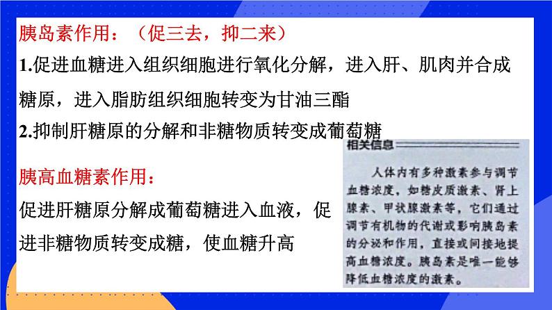 人教版高中生物选修一 3.2 激素调节的过程  课件+教案+导学案07