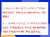 人教版高中生物选修一 4.1 免疫系统的组成和功能  课件+教案+导学案