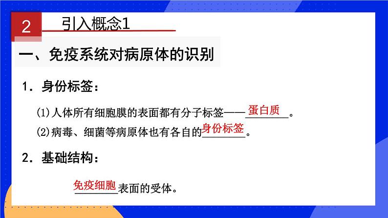 人教版高中生物选修一 4.2 特异性免疫  课件+教案+导学案05