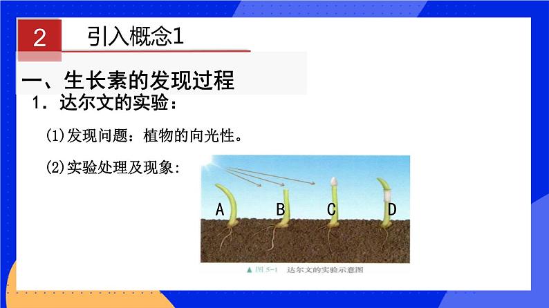 人教版高中生物选修一 5.1.1 植物生长激素    课件+教案+导学案05