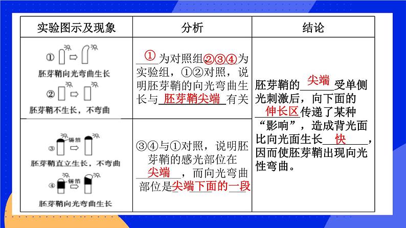 人教版高中生物选修一 5.1.1 植物生长激素    课件+教案+导学案06