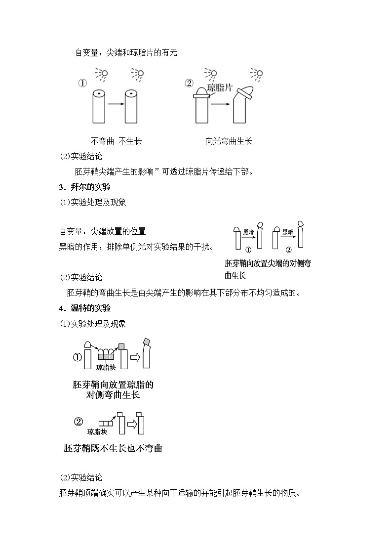 人教版高中生物选修一 5.1.1 植物生长激素    课件+教案+导学案02