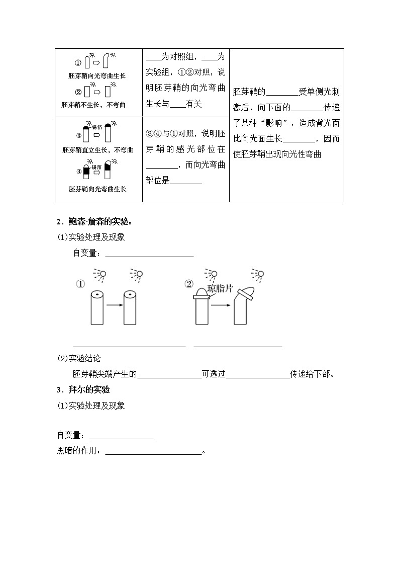 人教版高中生物选修一 5.1.1 植物生长激素    课件+教案+导学案02