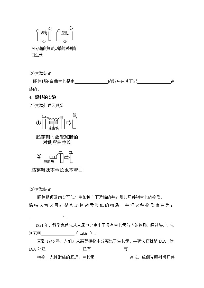 人教版高中生物选修一 5.1.1 植物生长激素    课件+教案+导学案03