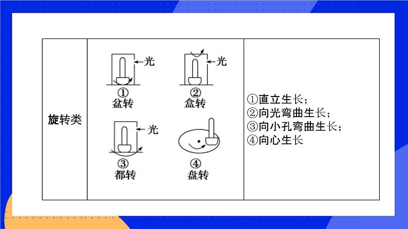 人教版高中生物选修一 5.1.2 植物生长激素    课件+教案+导学案06