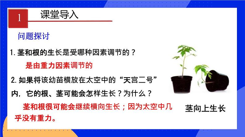 人教版高中生物选修一 5.4 环境因素参与调节植物的生命活动  课件+教案+导学案03