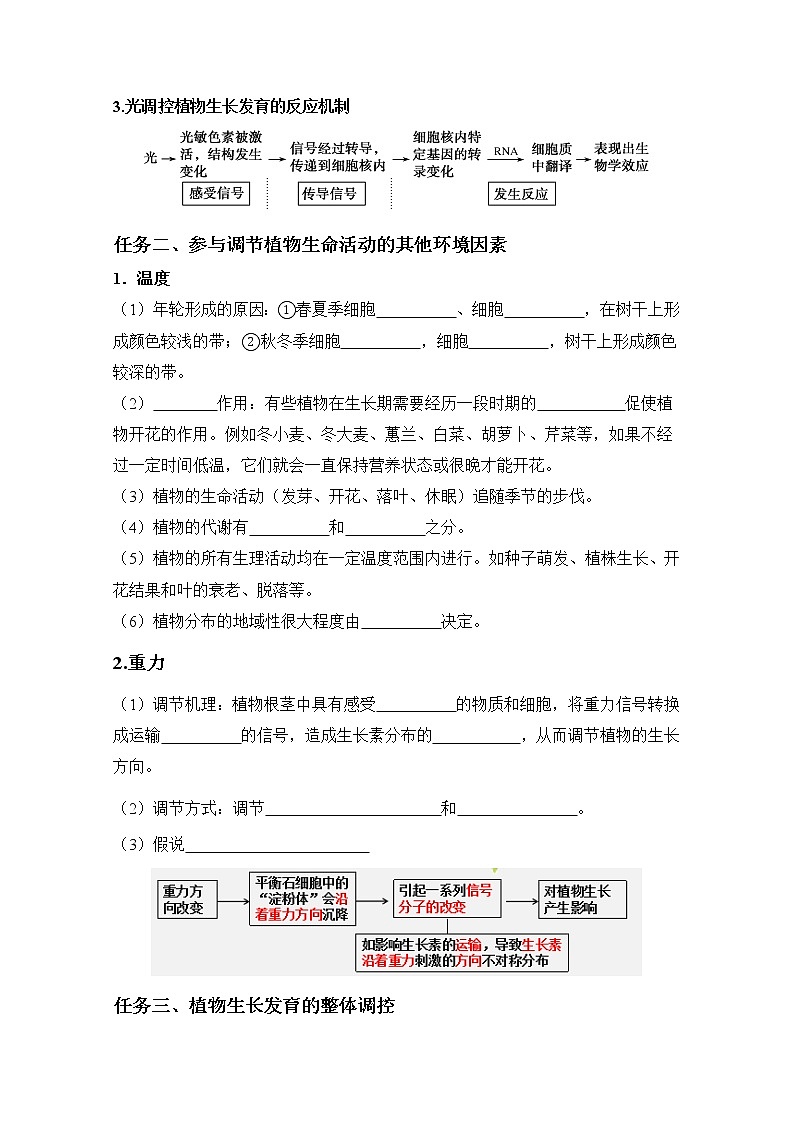 人教版高中生物选修一 5.4 环境因素参与调节植物的生命活动  课件+教案+导学案02