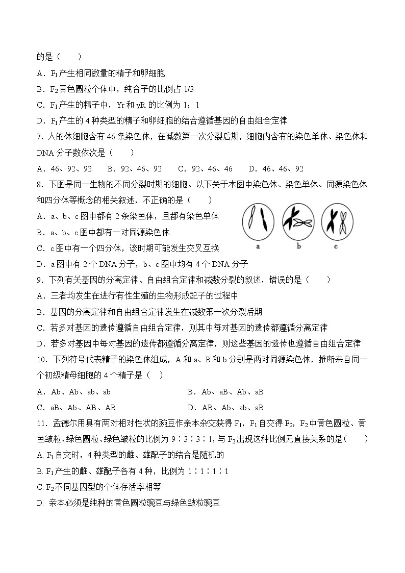 四川省南充市嘉陵第一中学2022-2023学年高一生物下学期3月月考试题（Word版附答案）第2页