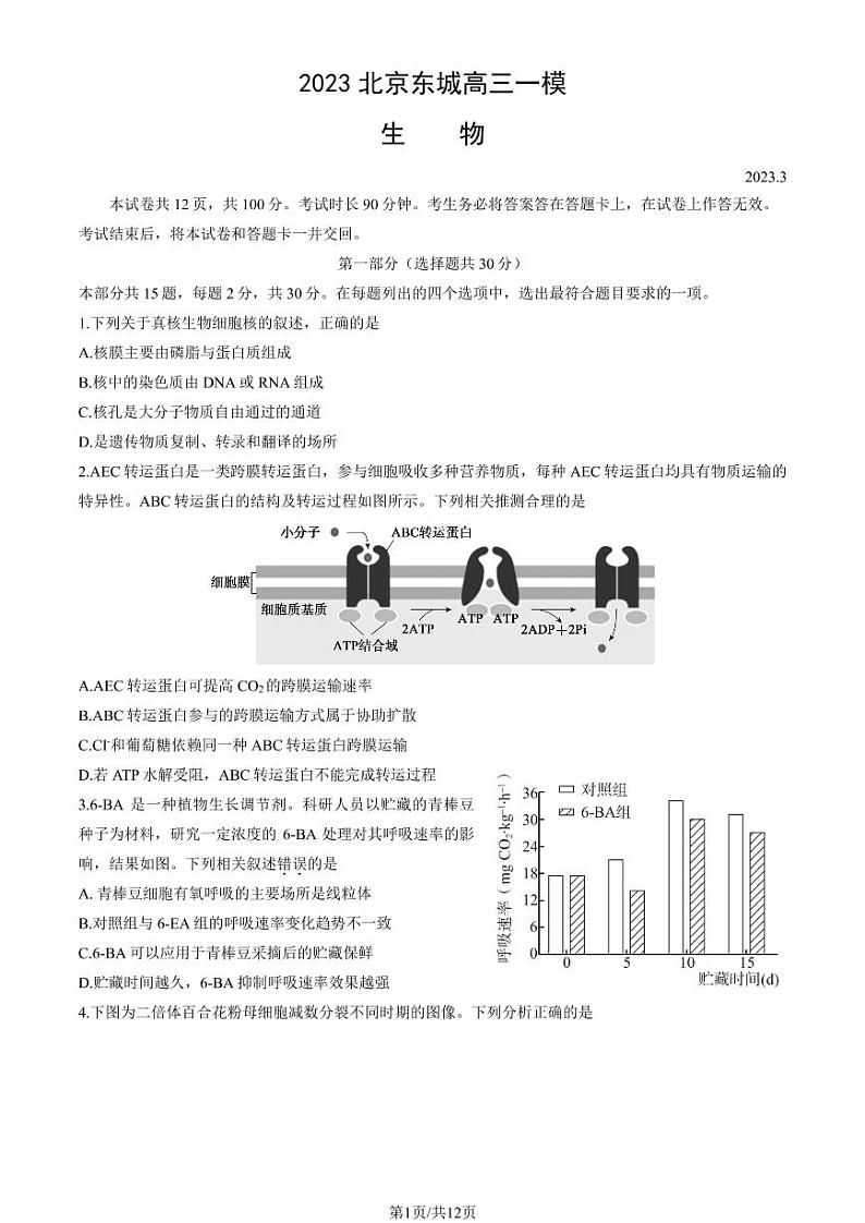 2023年北京东城区高三一模生物试题及答案01