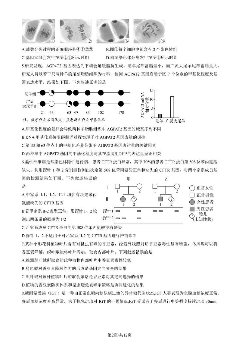 2023年北京东城区高三一模生物试题及答案02