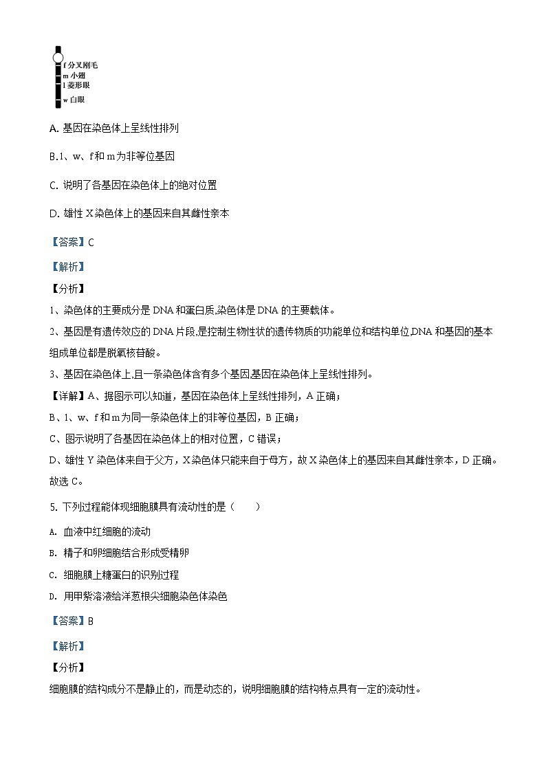 高中生物第二册 精品解析 辽宁省葫芦岛市2019-2020学年高一下学期期末生物试题（含答案）03