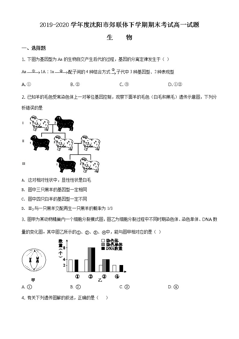 高中生物第二册 精品解析 辽宁省沈阳市郊联体2019-2020学年高一下学期期末生物试题（无答案）01