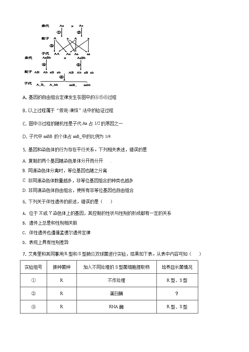 高中生物第二册 精品解析 辽宁省沈阳市郊联体2019-2020学年高一下学期期末生物试题（无答案）02