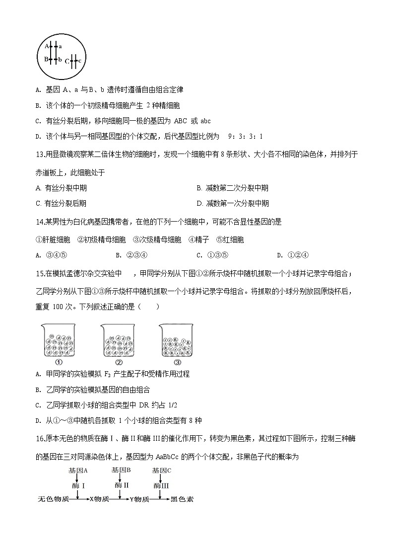 高中生物第二册 精品解析 辽宁省沈阳市一七〇中2019-2020学年高一期末生物试题（无答案）03