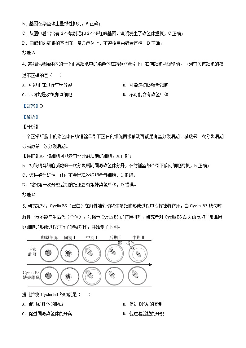 高中生物第二册 精品解析 山东省德州市2019-2020学年高一下学期期末生物试题（含答案）03
