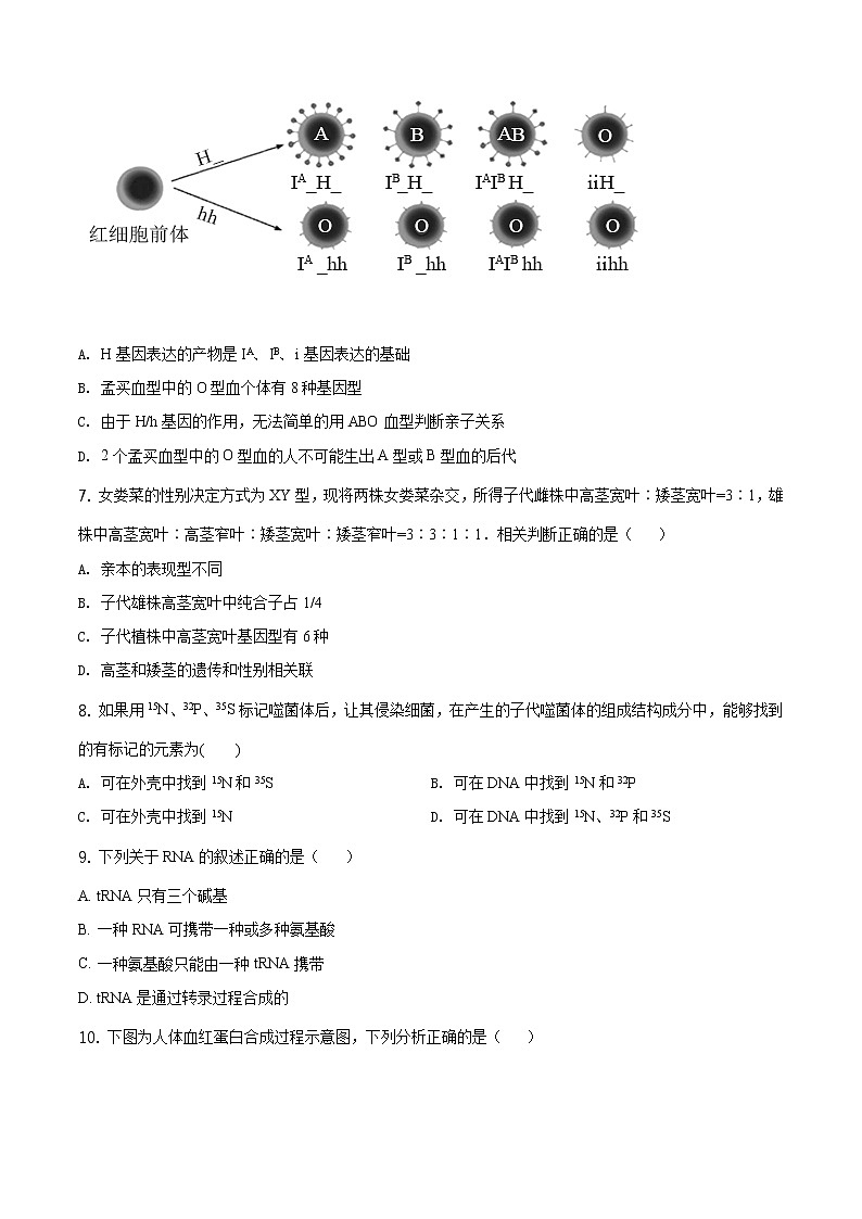 高中生物第二册 精品解析 山东省临沂市2019-2020学年高一下学期期末生物试题（无答案）03