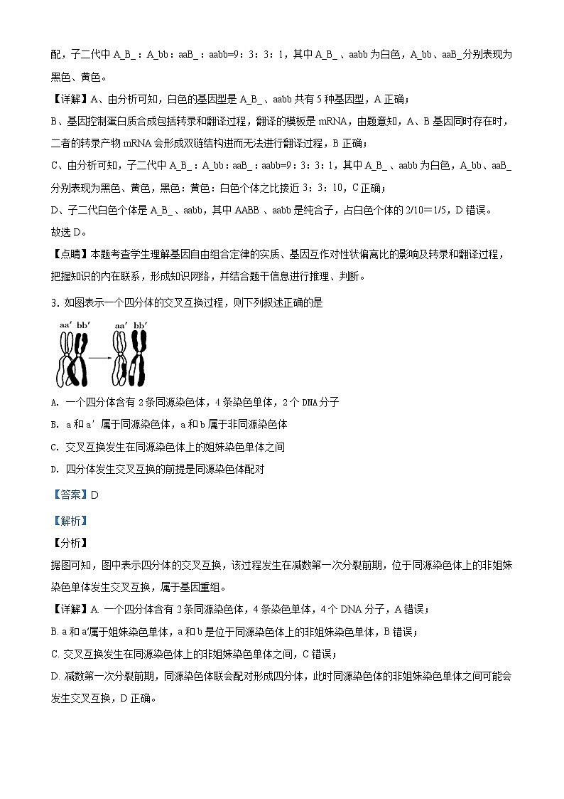 高中生物第二册 精品解析 山东省泰安市2019-2020学年高一下学期期末生物试题（含答案）03