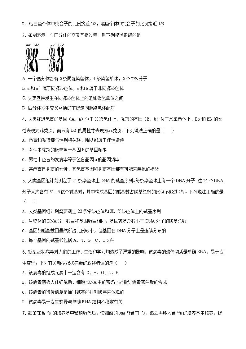 高中生物第二册 精品解析 山东省泰安市2019-2020学年高一下学期期末生物试题（无答案）02