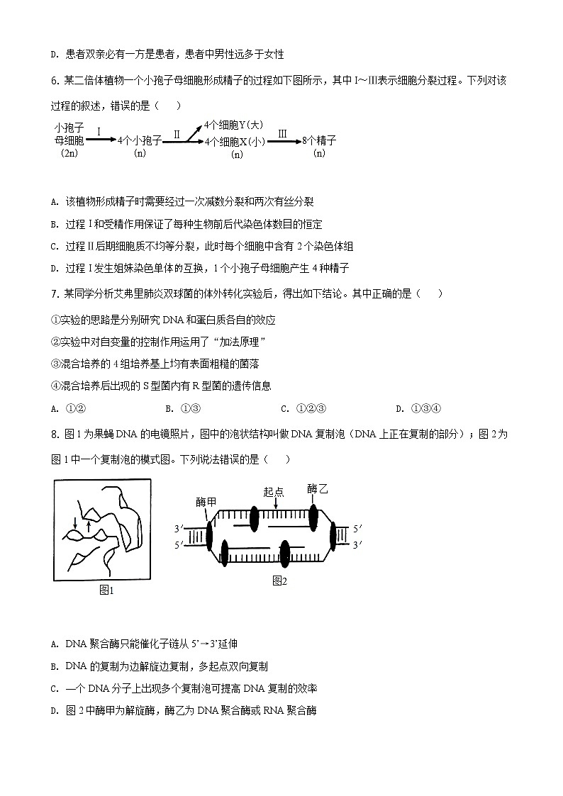 高中生物第二册 精品解析 山东省潍坊市2019-2020学年高一下学期期末生物试题（无答案）第2页