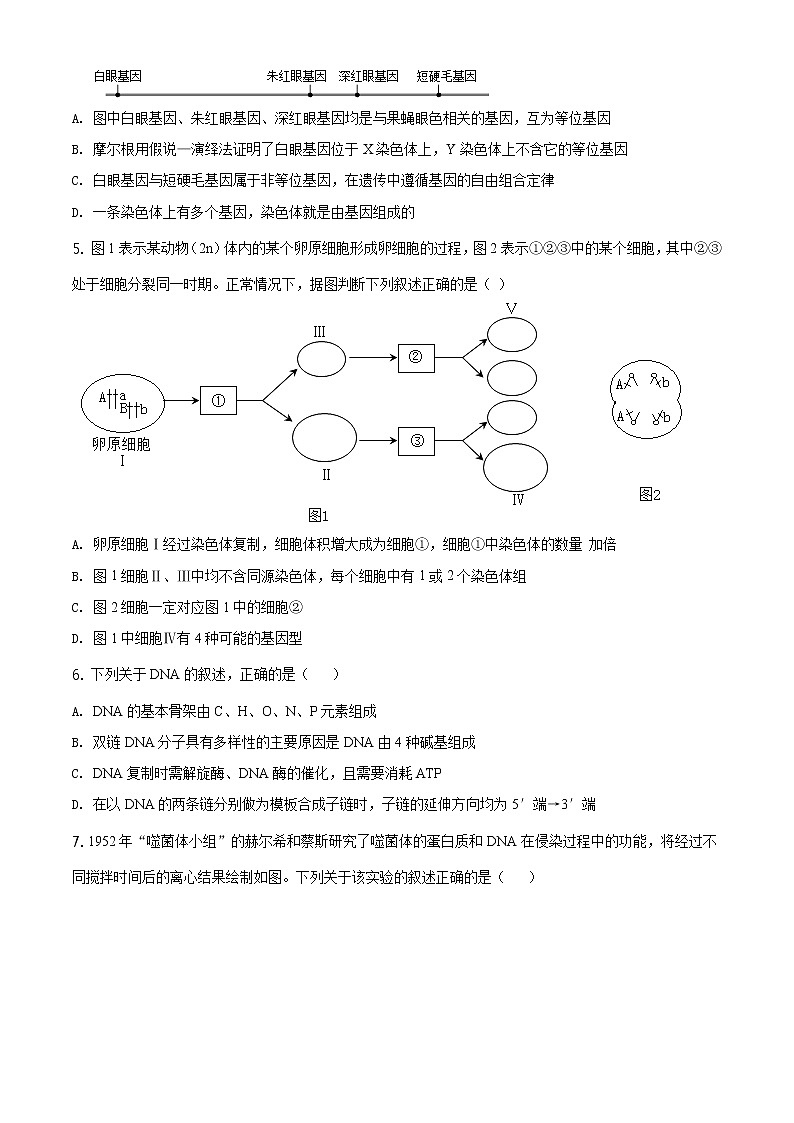 高中生物第二册 精品解析 山东省烟台市2019-2020学年高一下学期期末生物试题（无答案）02