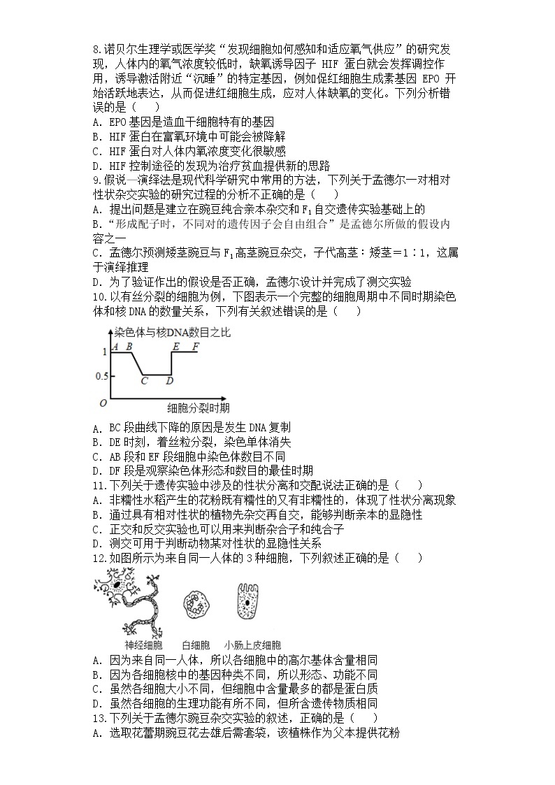 四川省雅安中学2022-2023学年高一生物下学期3月月考试题（Word版附答案）02