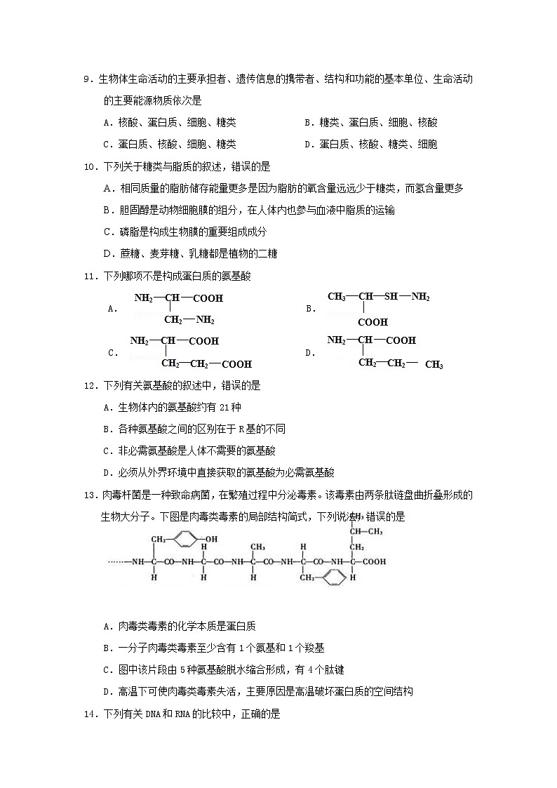 高中生物第一册 2019-2020年海南省儋州市第一中学期中考试生物试卷03