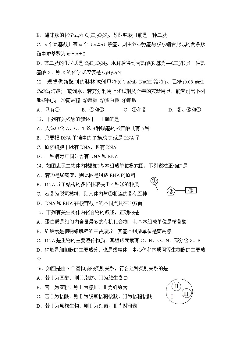 高中生物第一册 2019-2020学年海南省海南中学期中考试 生物试题第3页