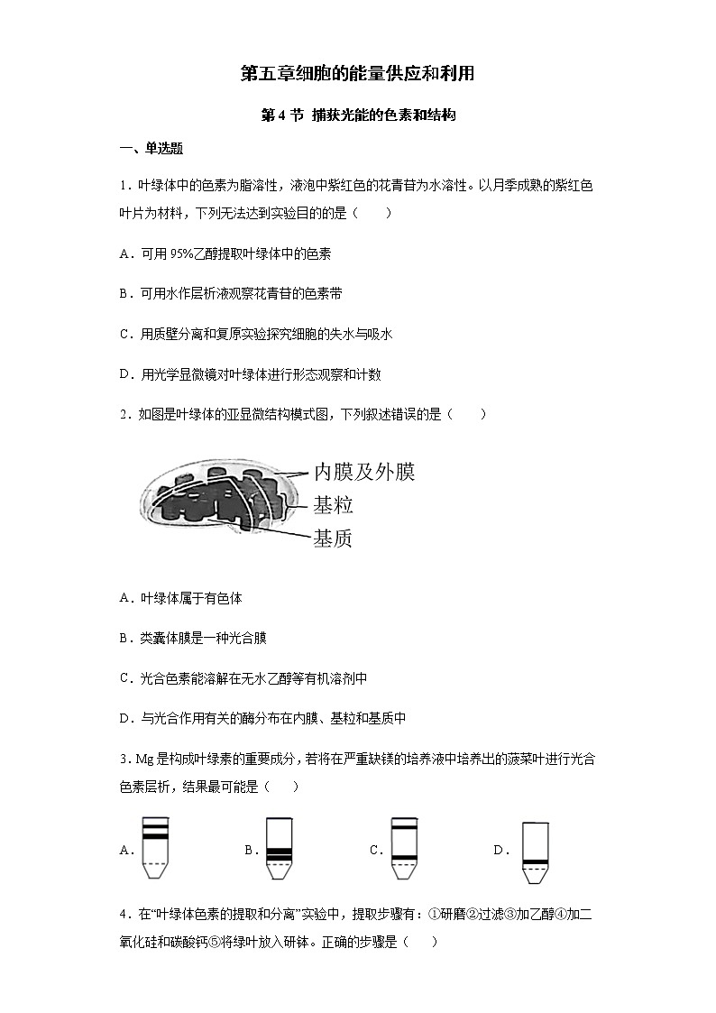 高中生物第一册 5 4 1 捕获光能的色素和结构 练习第1页