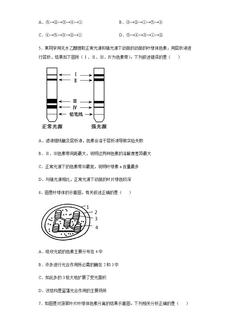 高中生物第一册 5 4 1 捕获光能的色素和结构 练习第2页