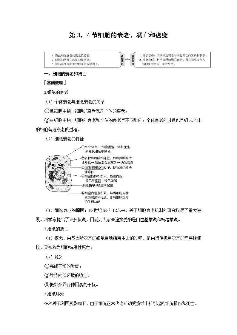 高中生物第一册 《第3节 细胞的衰老和死亡》最新教研教案教学设计01